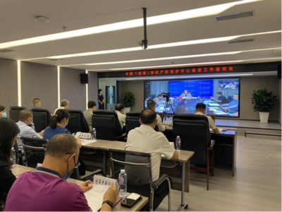中國（成都）知識產(chǎn)權(quán)保護中心通過國家知識產(chǎn)權(quán)局驗收，助力信息技術(shù)咨詢服務(wù)發(fā)展